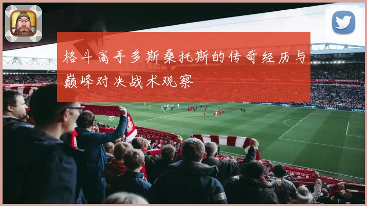 格斗高手多斯桑托斯的传奇经历与巅峰对决战术观察
