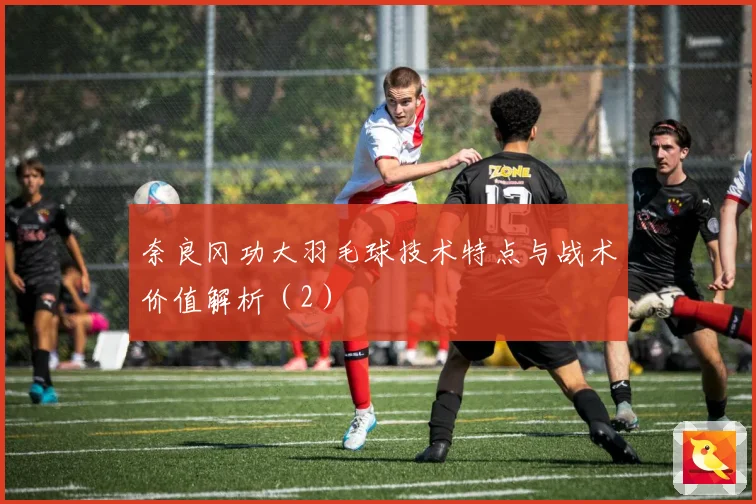 奈良冈功大羽毛球技术特点与战术价值解析(2)