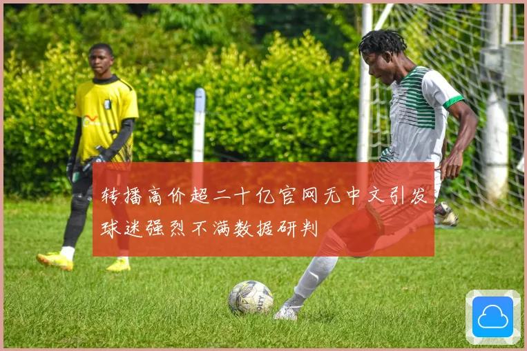 转播高价超二十亿官网无中文引发球迷强烈不满数据研判