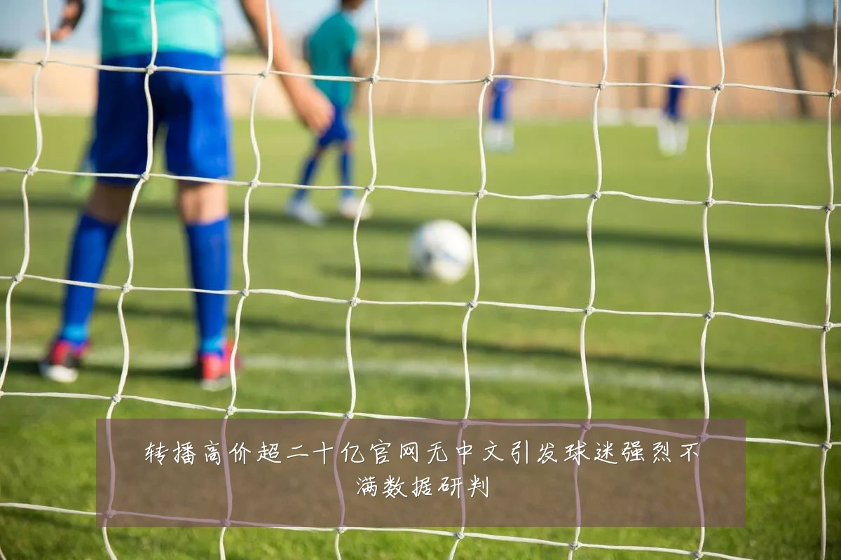 转播高价超二十亿官网无中文引发球迷强烈不满数据研判