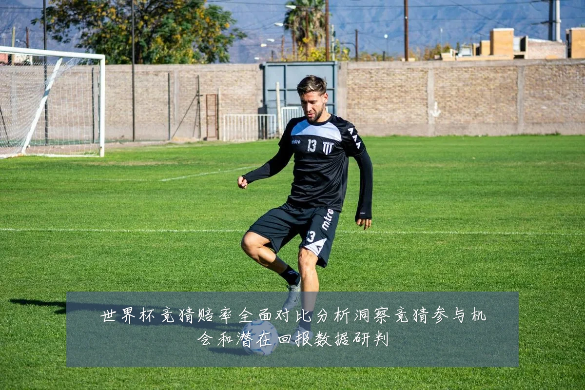 世界杯竞猜赔率全面对比分析洞察竞猜参与机会和潜在回报数据研判