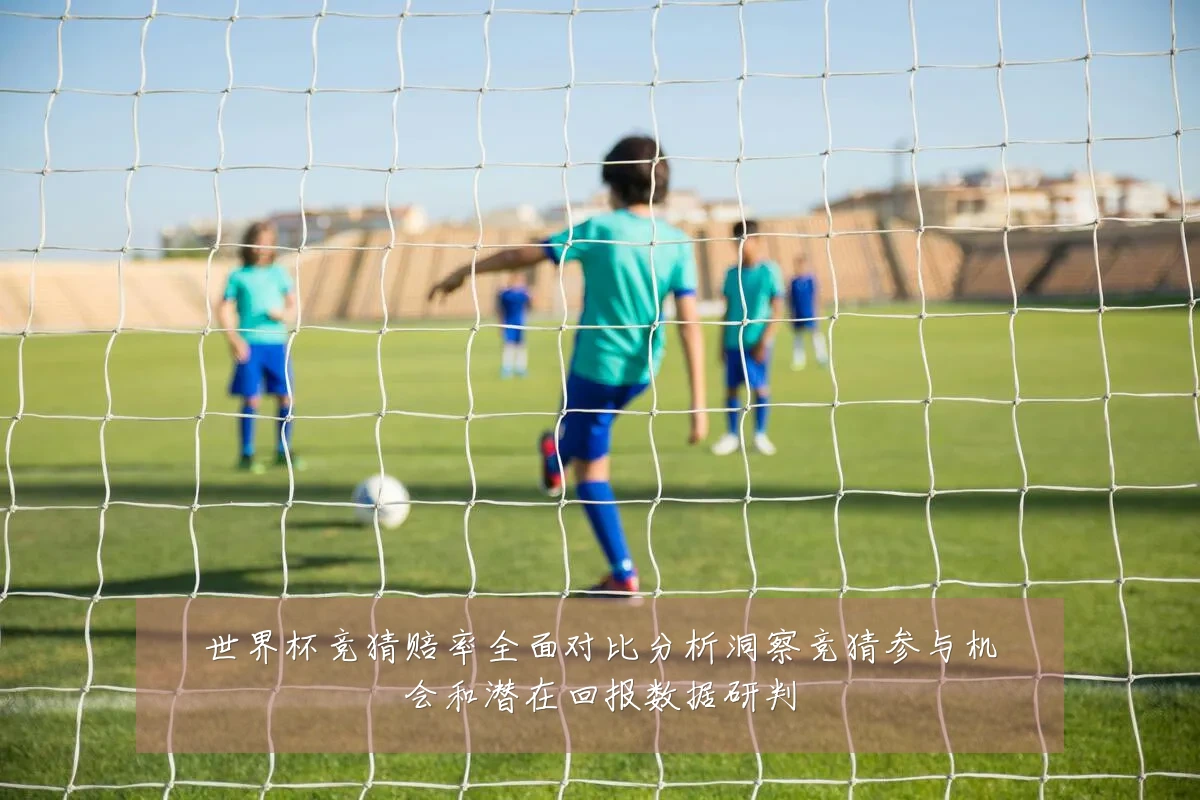 世界杯竞猜赔率全面对比分析洞察竞猜参与机会和潜在回报数据研判