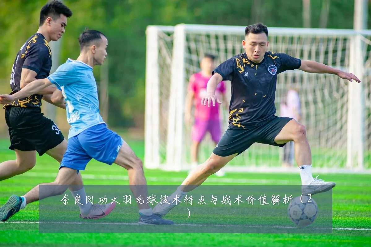 奈良冈功大羽毛球技术特点与战术价值解析(2)